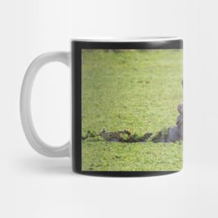 Hippos of Lake Manyara #2 Mug